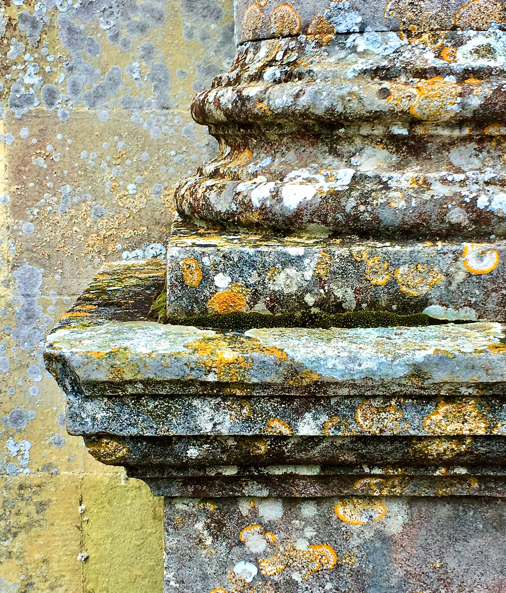 068_johann_wachs_classic