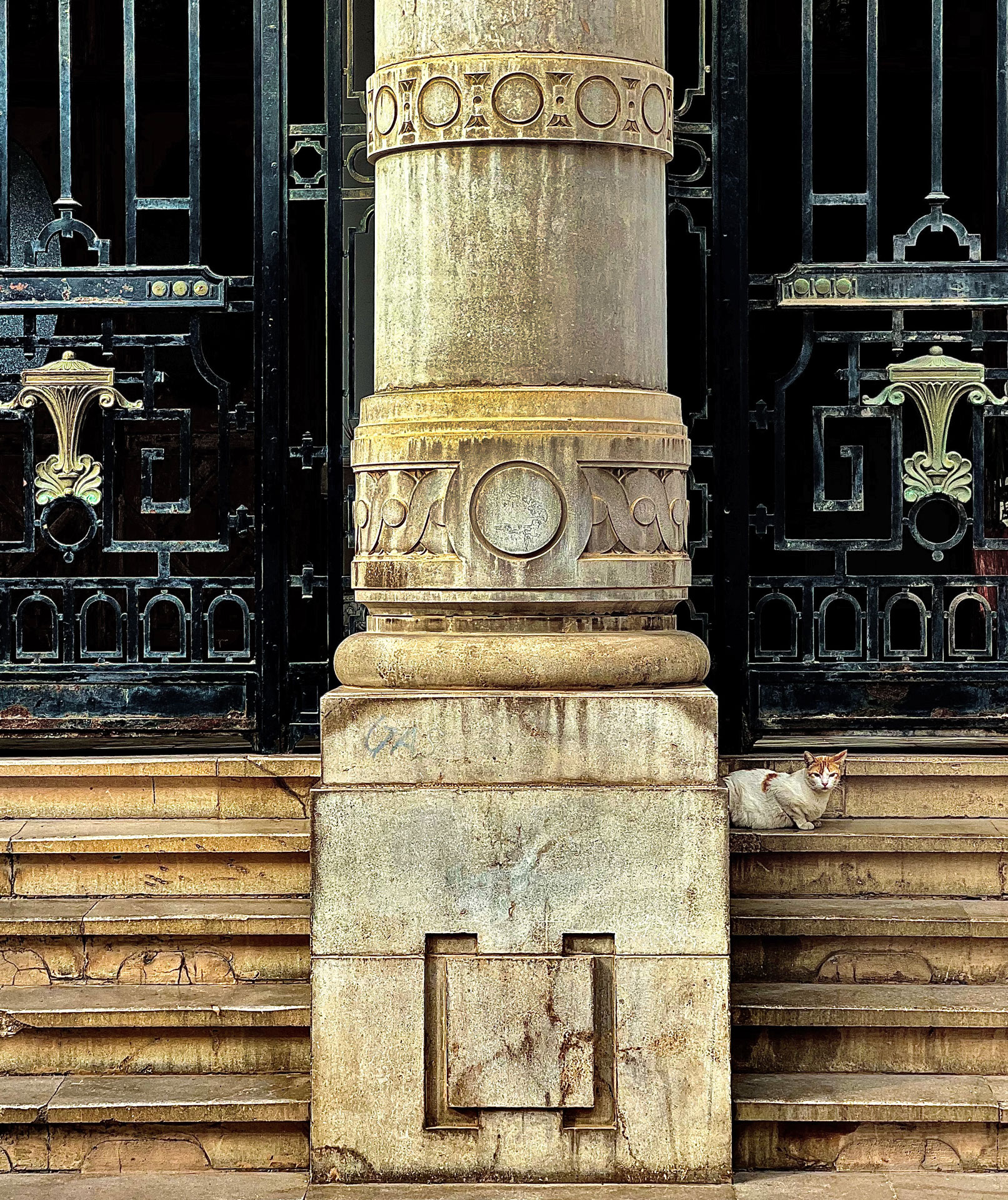 070_johann_wachs_classic