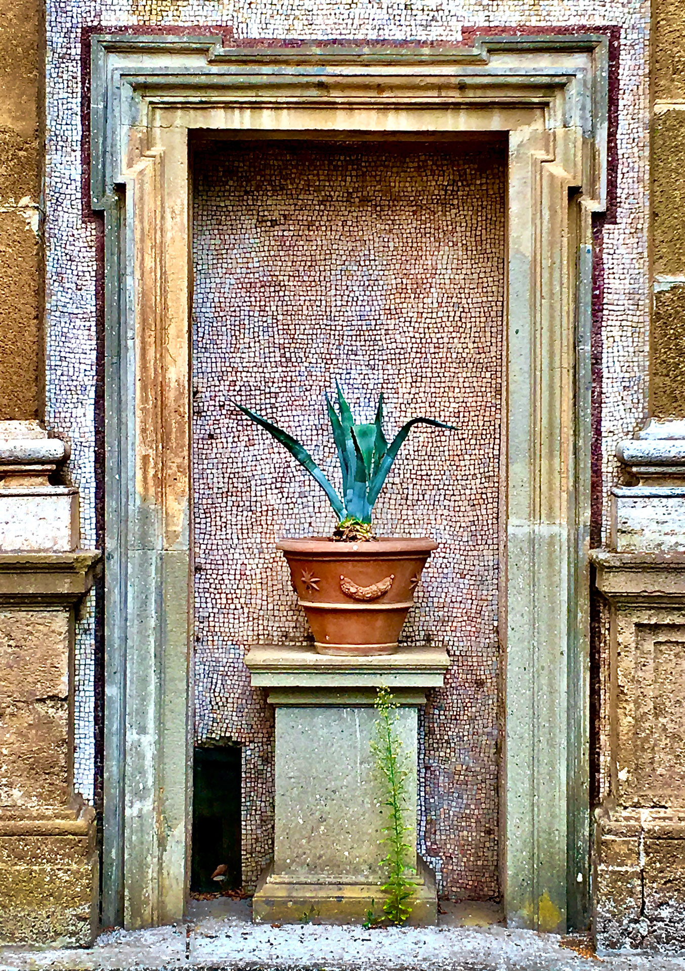 105_johann_wachs_classic