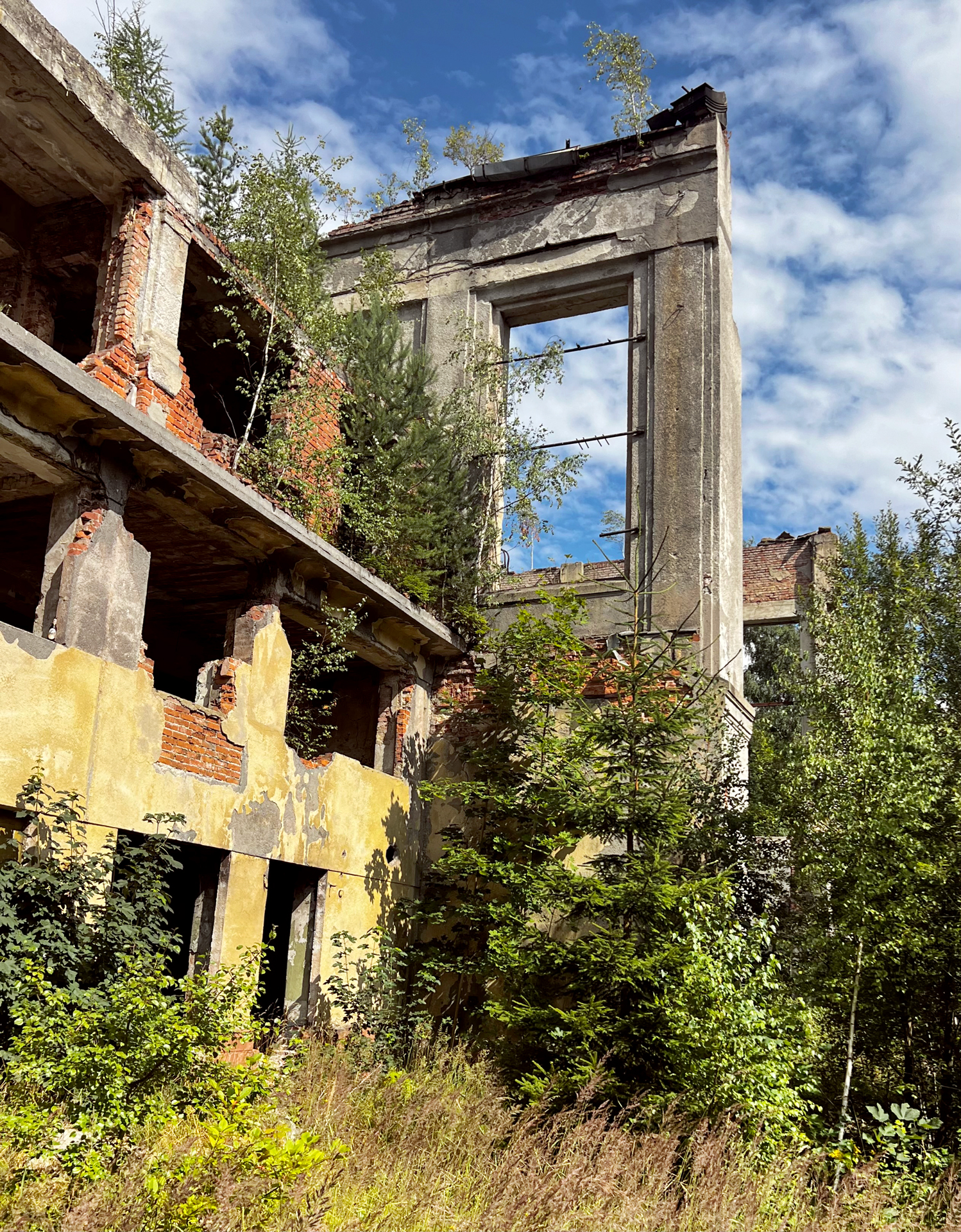 johann_wachs_ruins_0473