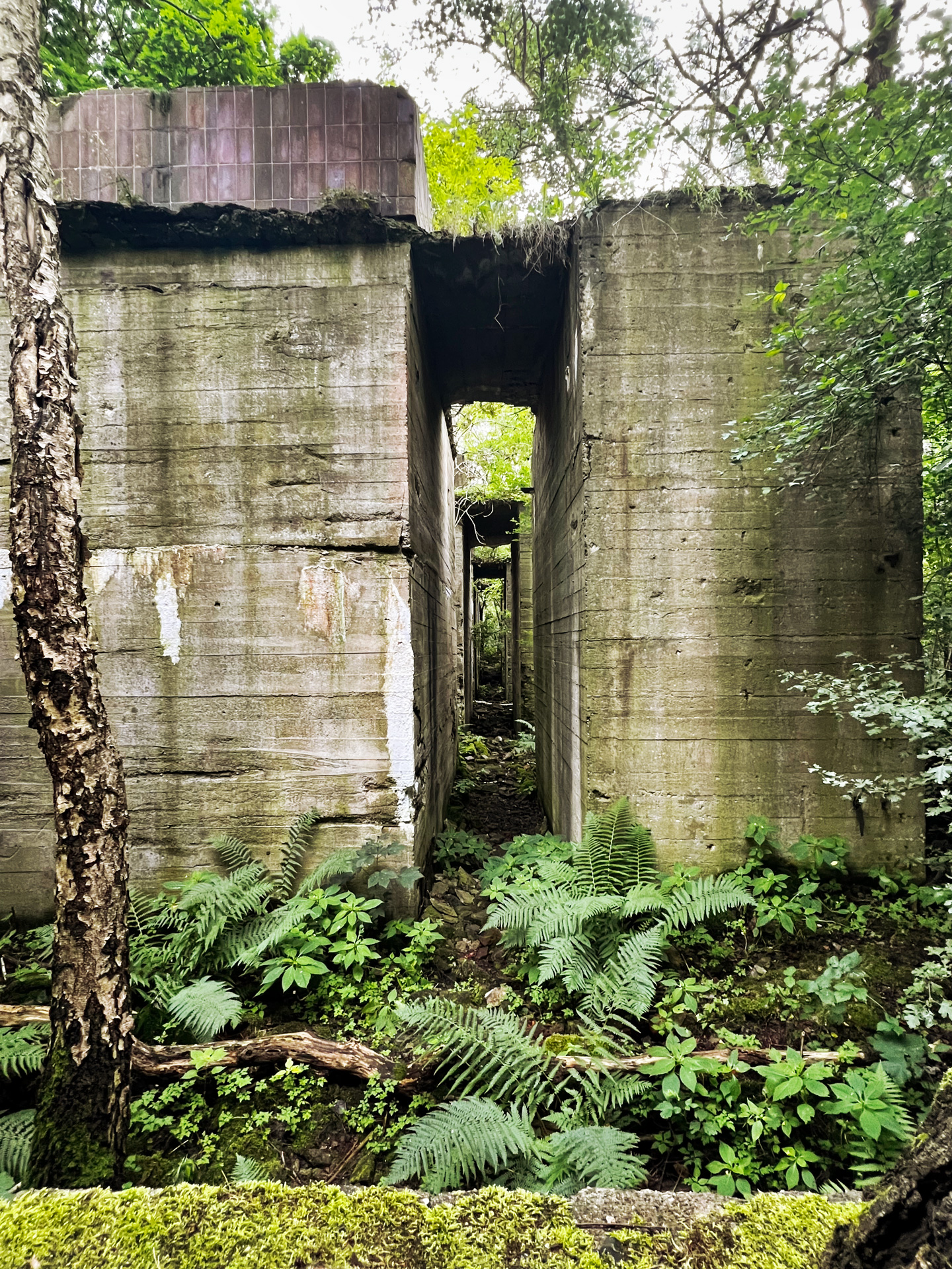 johann_wachs_ruins_7459