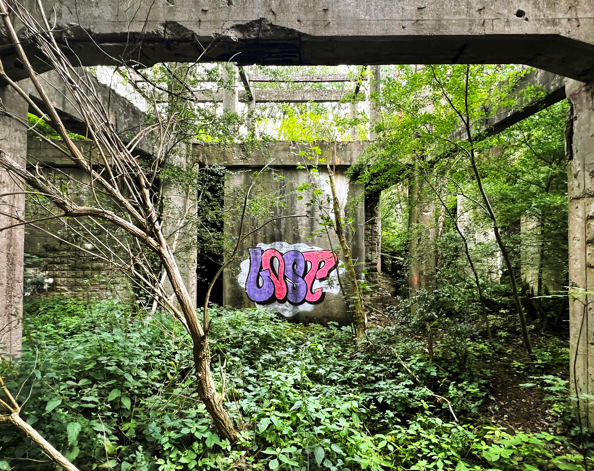 johann_wachs_ruins_7461