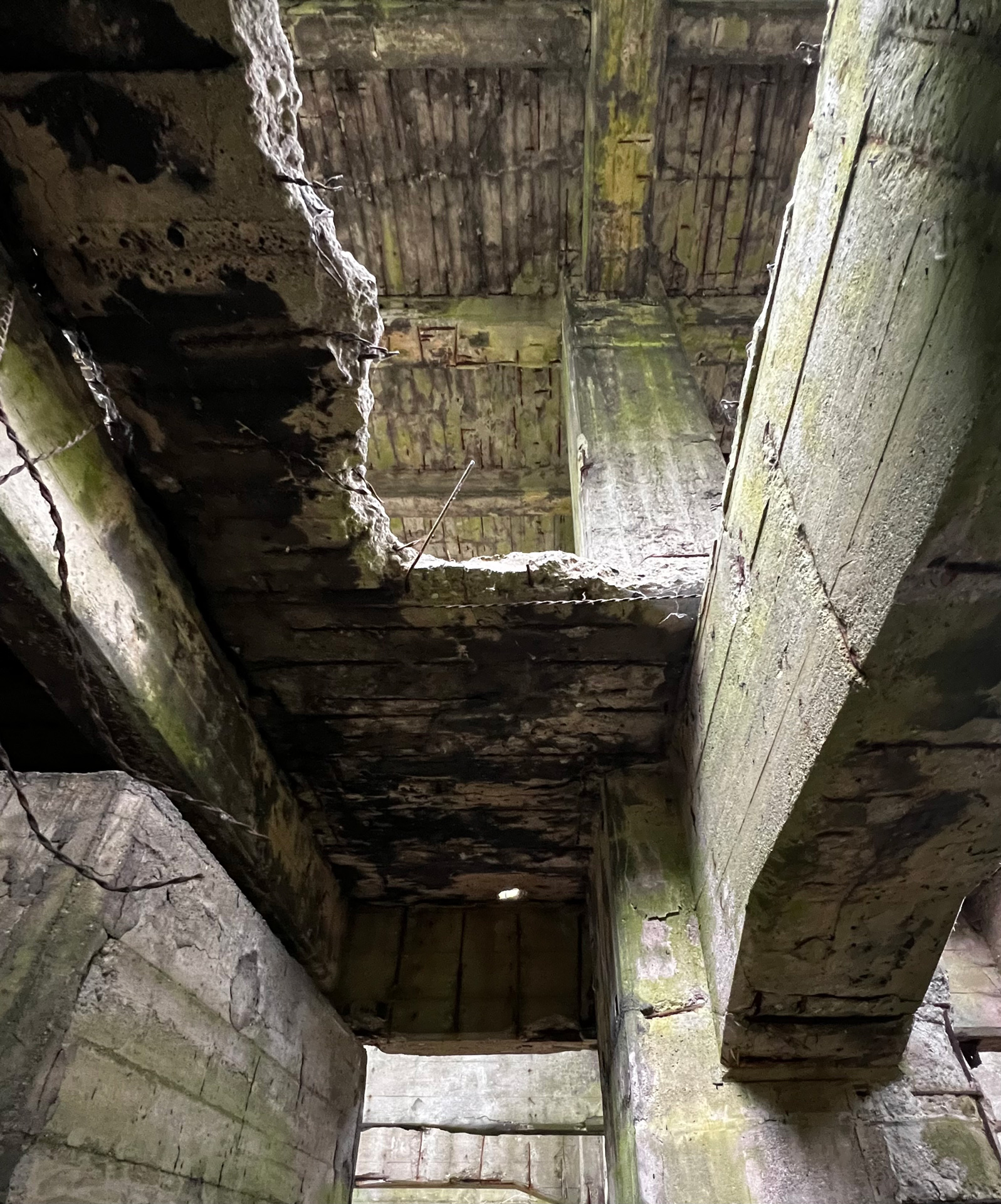 johann_wachs_ruins_7466