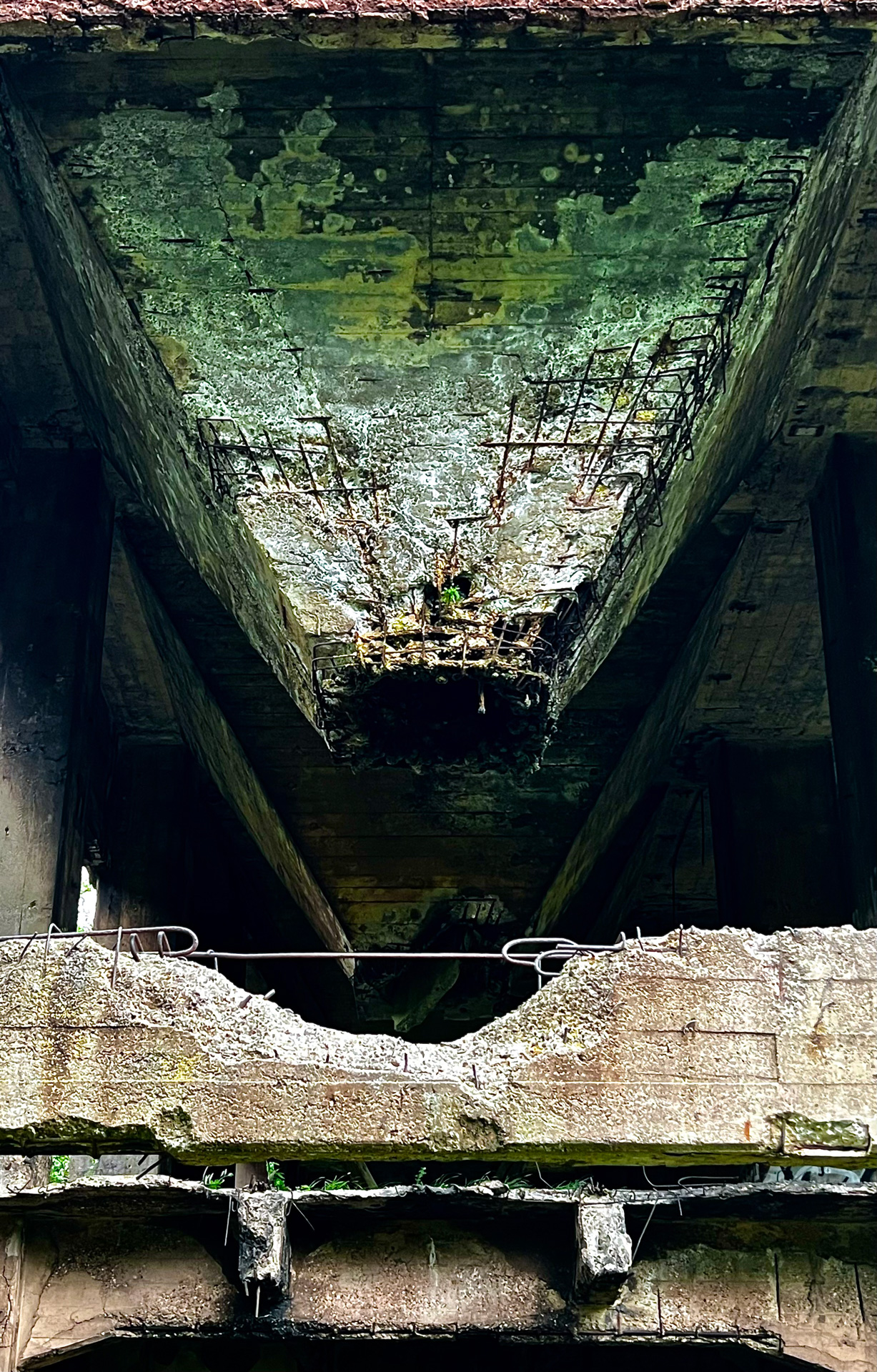 johann_wachs_ruins_7550