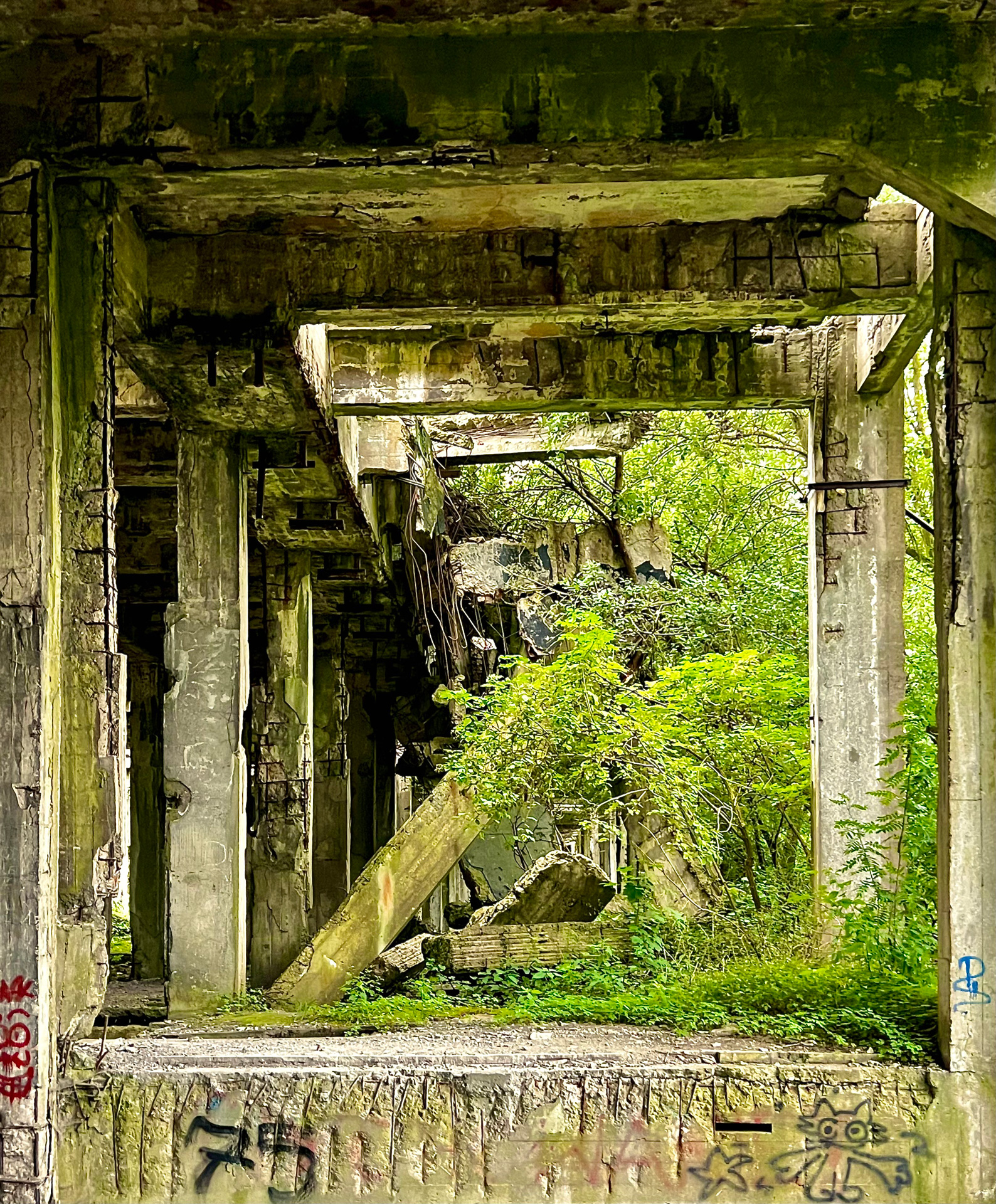 johann_wachs_ruins_7558