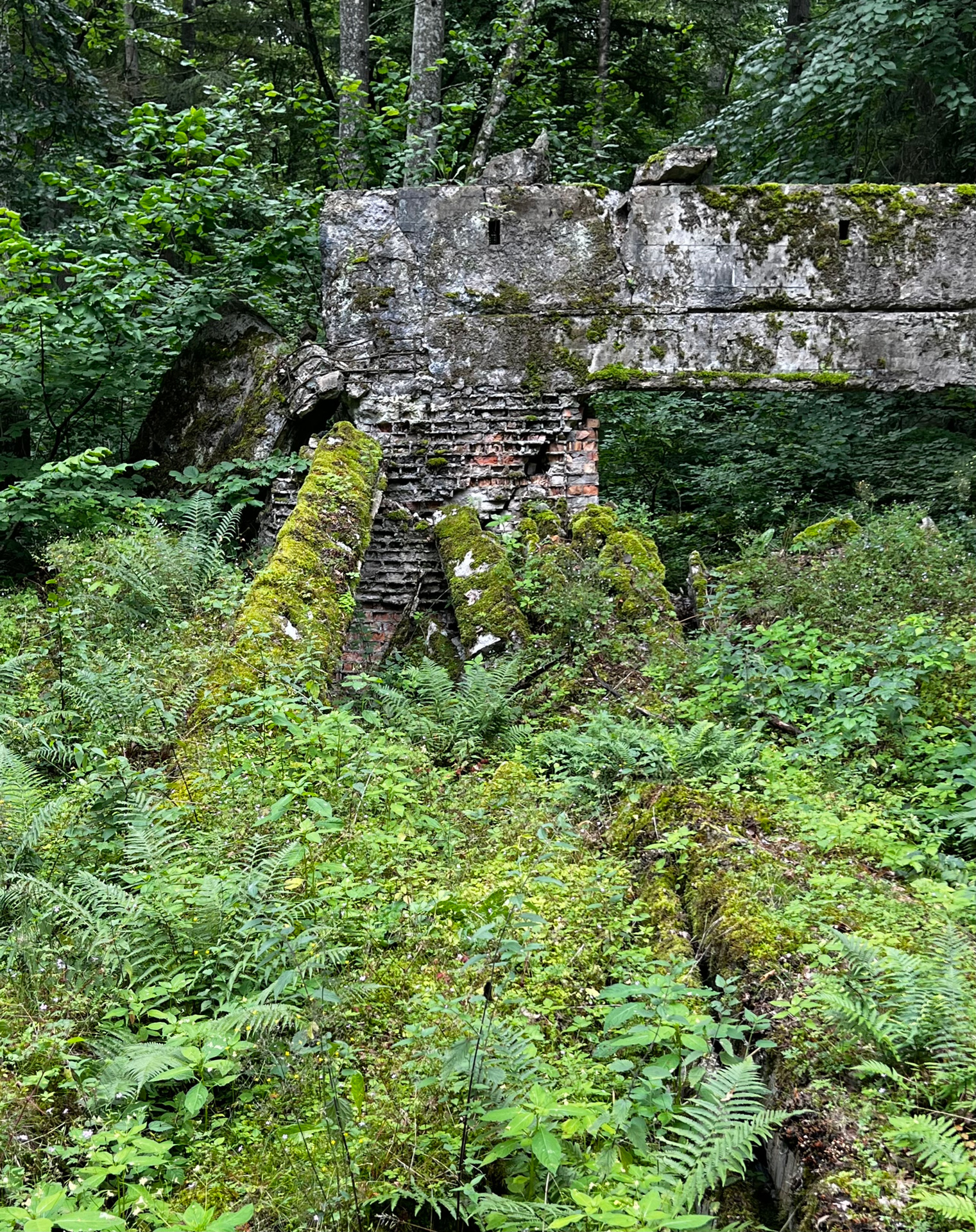 johann_wachs_ruins_7642