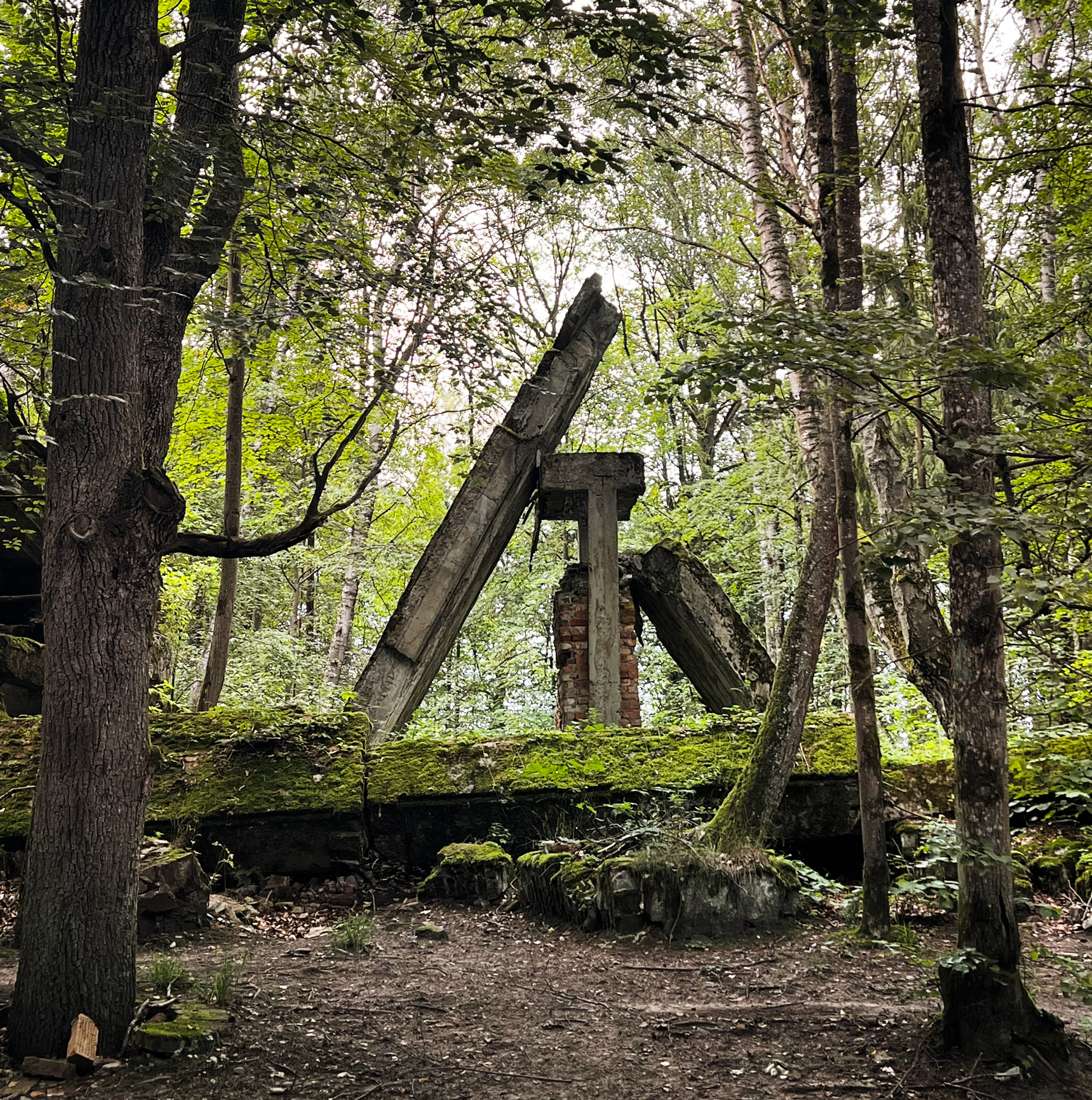 johann_wachs_ruins_8064