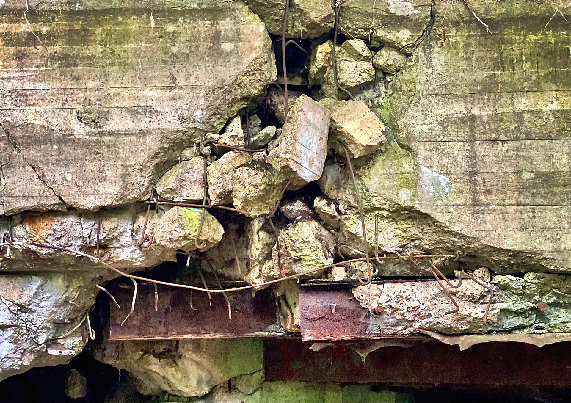 johann_wachs_ruins_8888